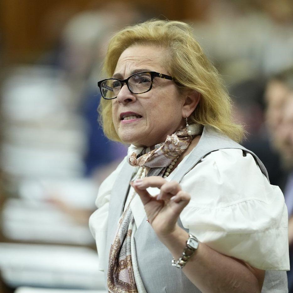 Federal minister plans to hold consultations this summer on immigration intake